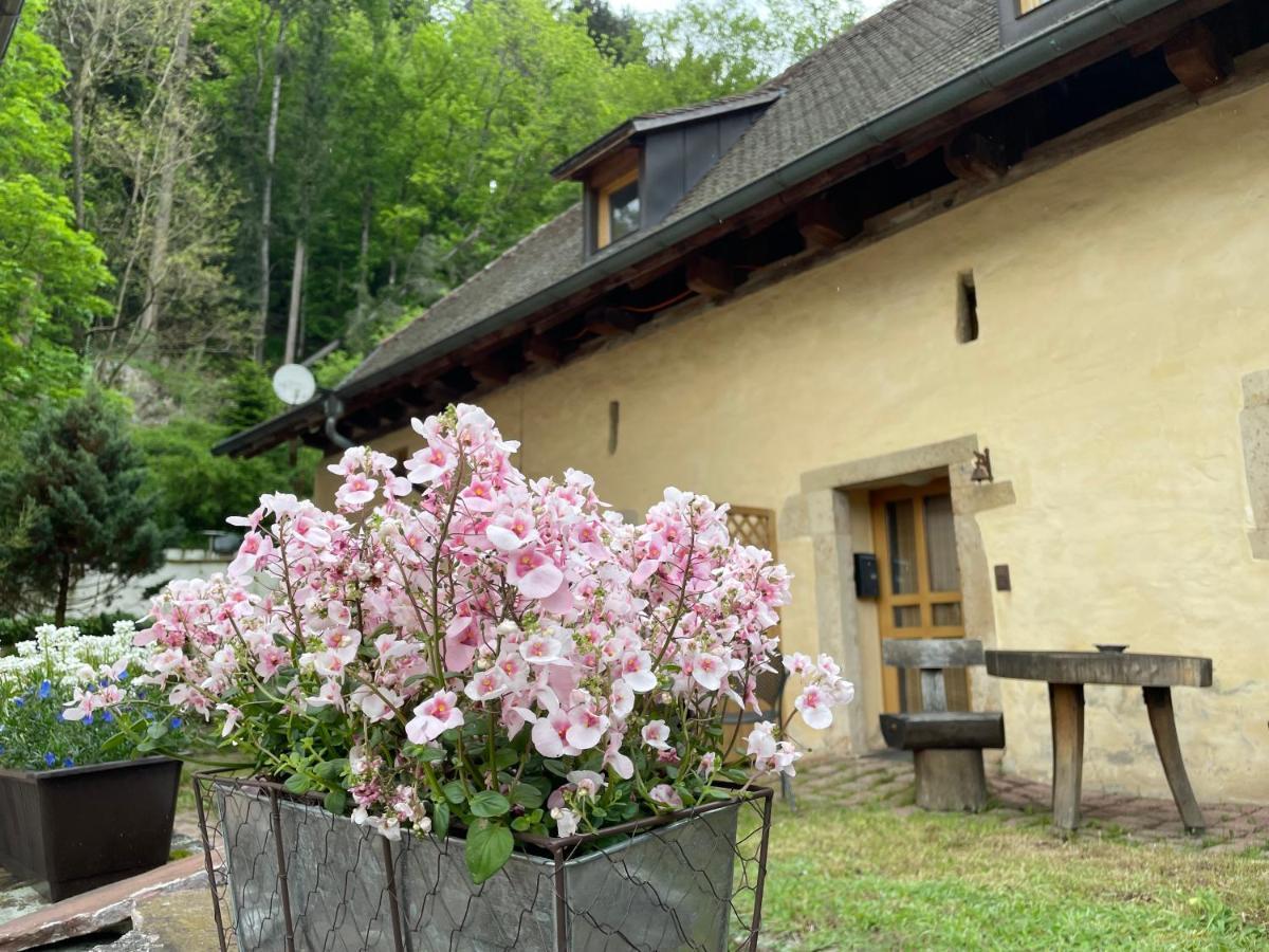 Bed & Breakfast Muellers Klostermuehle Münstertal Buitenkant foto